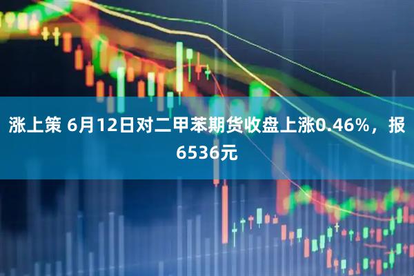 涨上策 6月12日对二甲苯期货收盘上涨0.46%，报6536元