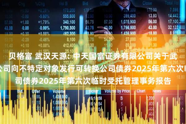 贝格富 武汉天源: 中天国富证券有限公司关于武汉天源集团股份有限公司向不特定对象发行可转换公司债券2025年第六次临时受托管理事务报告