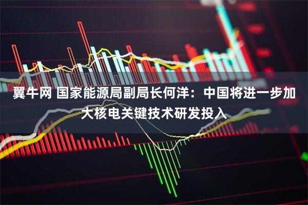 翼牛网 国家能源局副局长何洋：中国将进一步加大核电关键技术研发投入